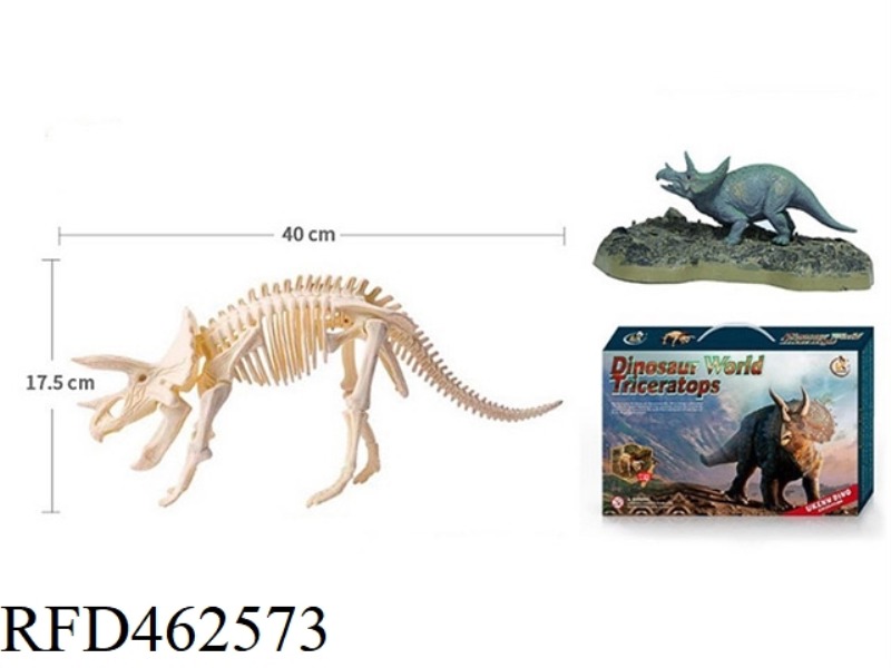 TRICERATOPS - OVERSIZED GIFT BOX ASSEMBLED ARCHAEOLOGY