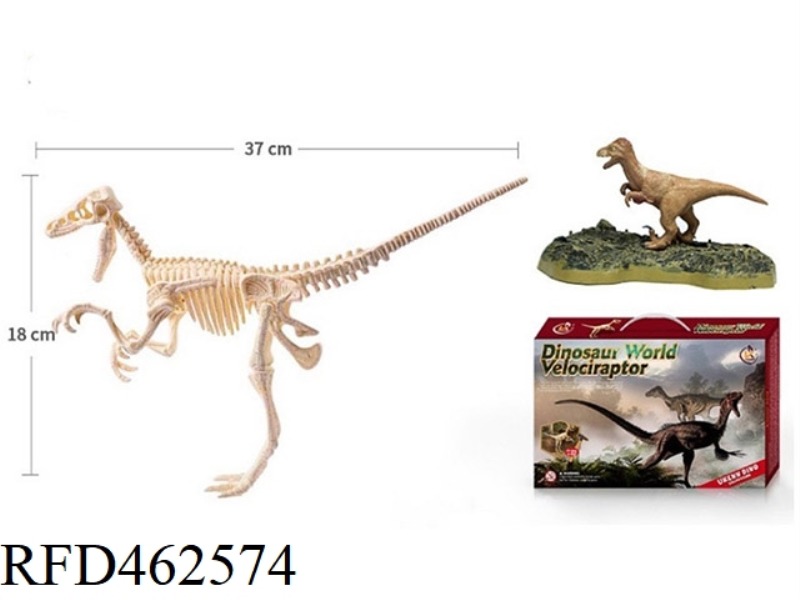 VELOCIRAPTOR - OVERSIZED GIFT BOX ASSEMBLED ARCHAEOLOGY