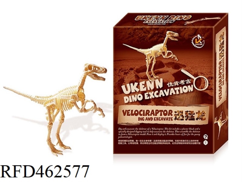 VELOCIRAPTOR-LARGE ASSEMBLED ARCHAEOLOGY