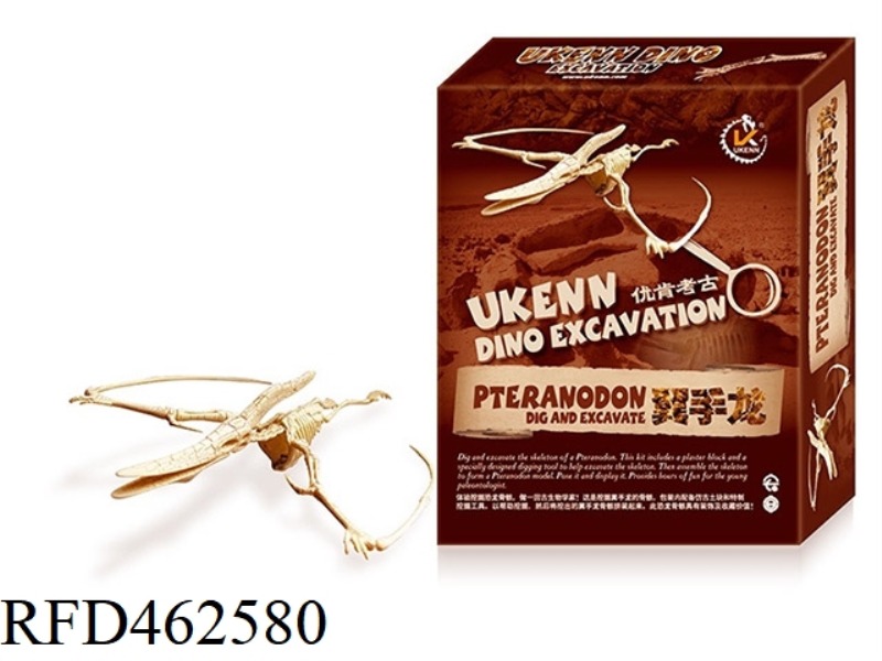 PTEROSAUR-LARGE ASSEMBLED ARCHAEOLOGY