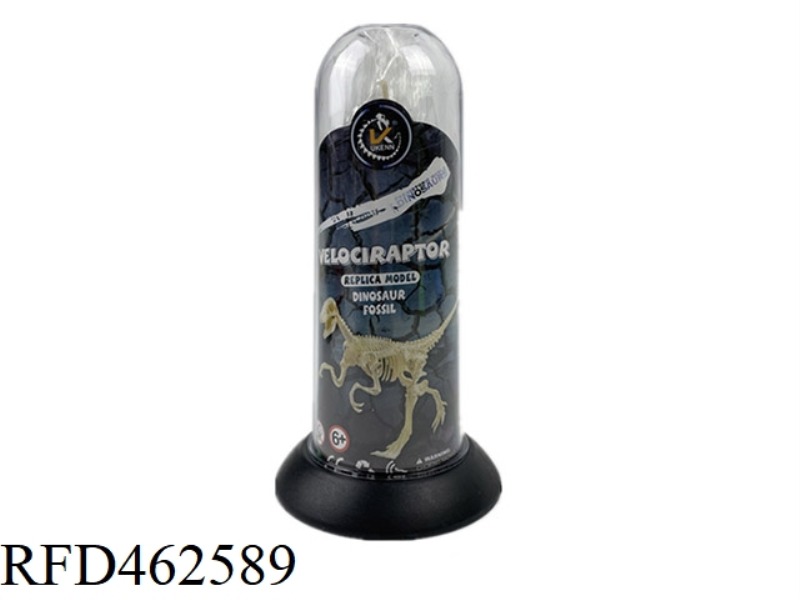 ASSEMBLED DINOSAUR FOSSILS - LONG TUBE (VELAPTOR)