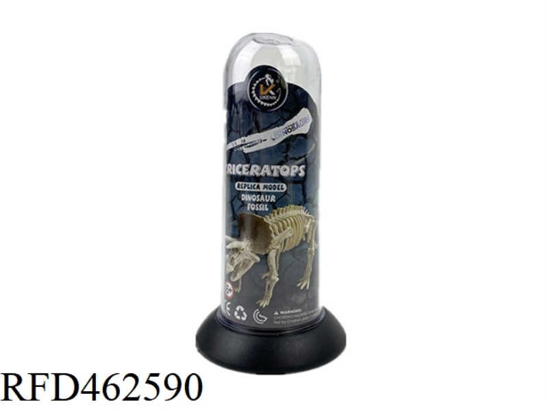 ASSEMBLED DINOSAUR FOSSILS - LONG TUBE (TRICERATOPS)