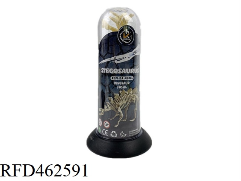 ASSEMBLED DINOSAUR FOSSILS - LONG TUBE (STEGOSAURUS)