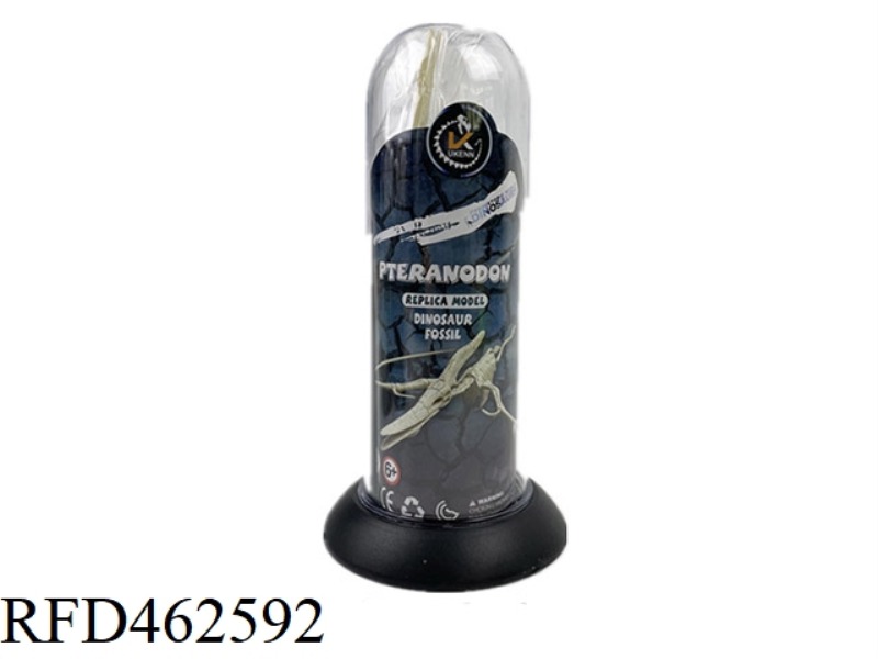 ASSEMBLED DINOSAUR FOSSILS - LONG TUBE (PTEROSAUR)