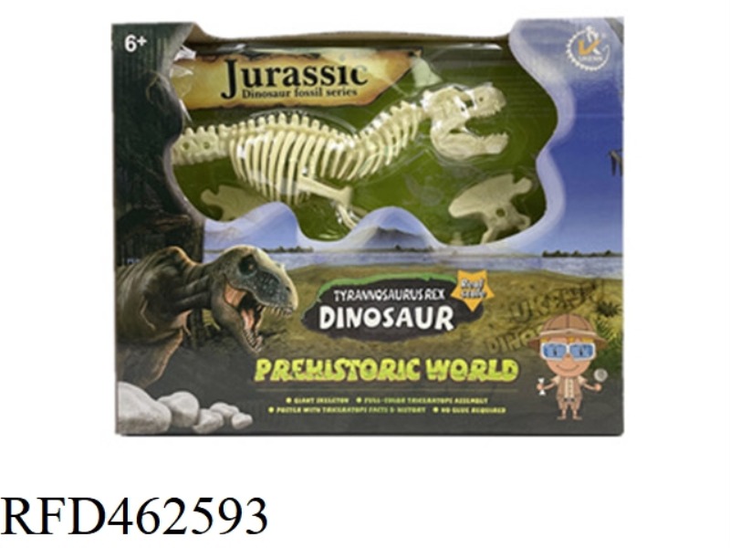 TYRANNOSAURUS REX IVORY WHITE ASSEMBLABLE DINOSAUR SKELETON