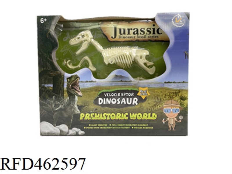 VELOCIRAPTOR IVORY WHITE ASSEMBLABLE DINOSAUR SKELETON