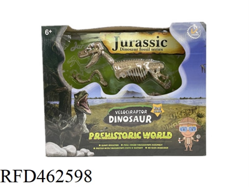 VELOCIRAPTOR KHAKI ASSEMBLEABLE DINOSAUR SKELETON
