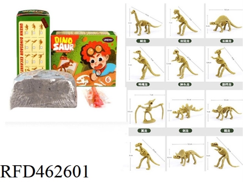 TWELVE SMALL DINOSAUR SKELETON ARCHAEOLOGY