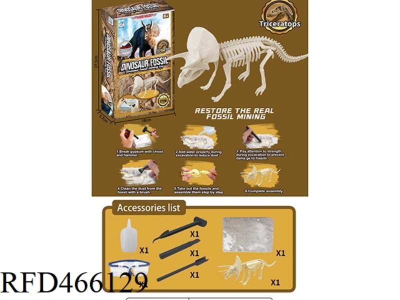 DINOSAUR FOSSIL ARCHAEOLOGY