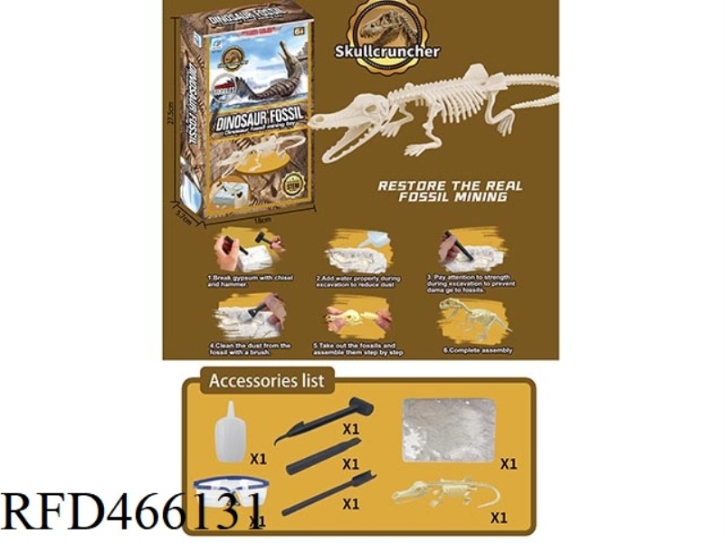 DINOSAUR FOSSIL ARCHAEOLOGY