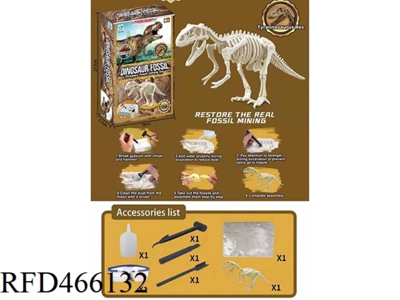 DINOSAUR FOSSIL ARCHAEOLOGY
