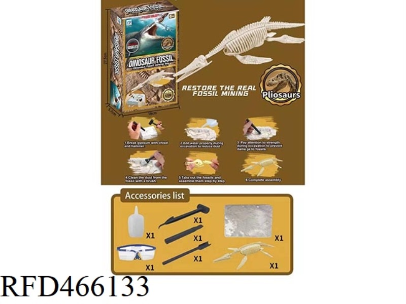 DINOSAUR FOSSIL ARCHAEOLOGY