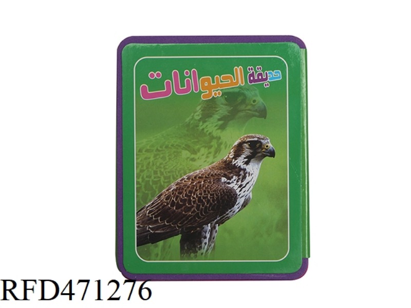 EVA EARLY EDUCATION EAGLE
