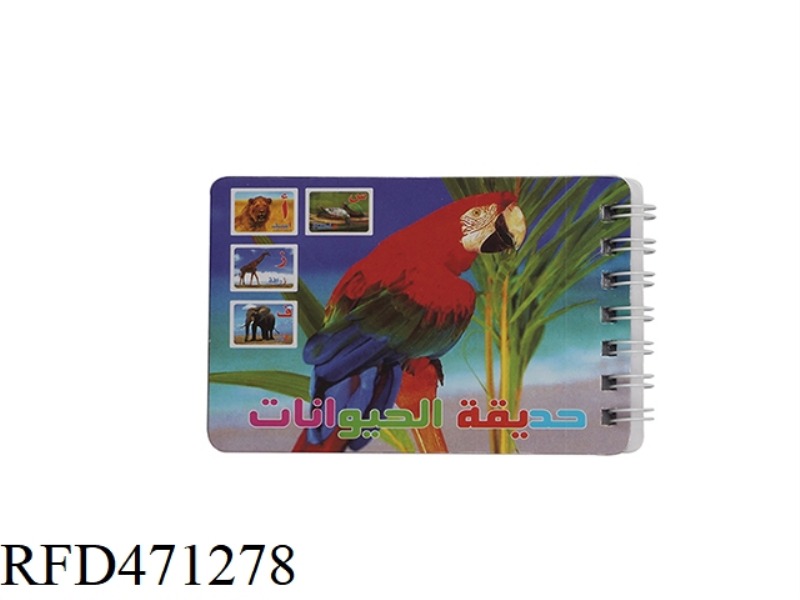 CARDBOARD BOOK PARROT