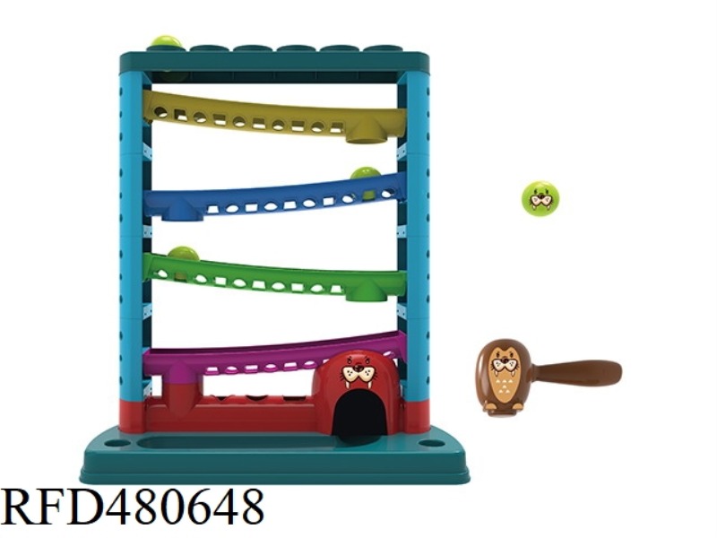 SEA LION KNOCK KNOCK