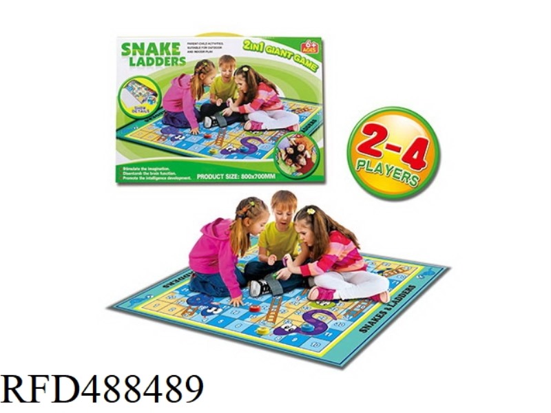CARPET SNAKES AND LADDERS