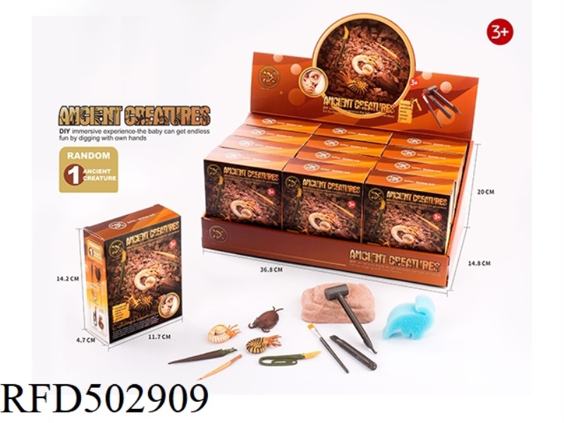 STATIC EDUCATIONAL TOYS (PALEONTOLOGY) 12PCS