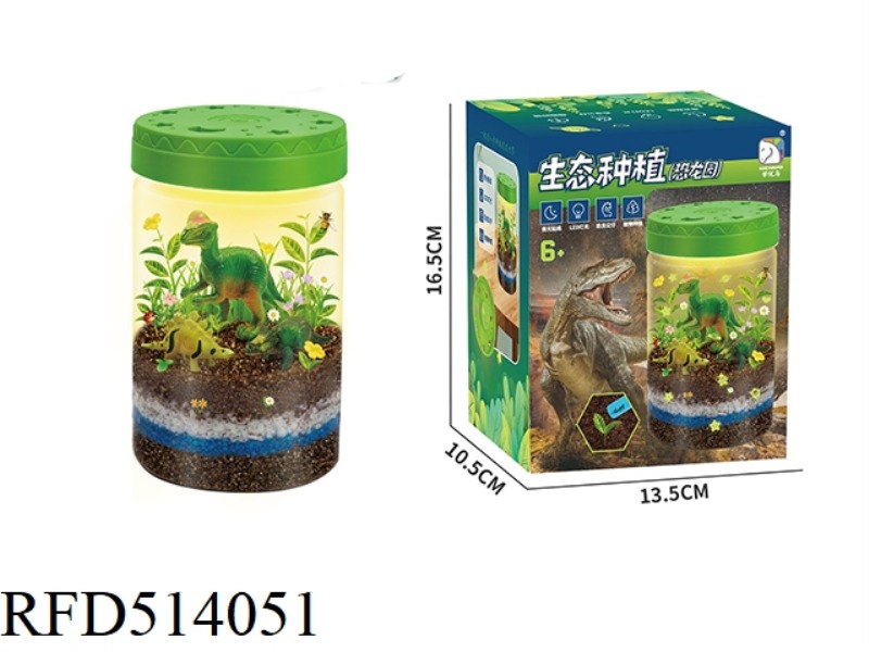 ECO PLANTING (DINOSAUR GARDEN)