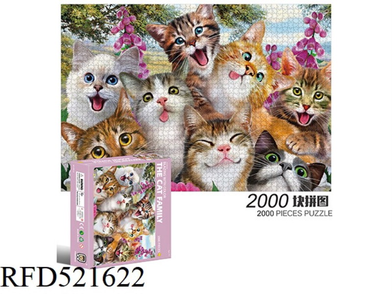 2000 square puzzles-cat family