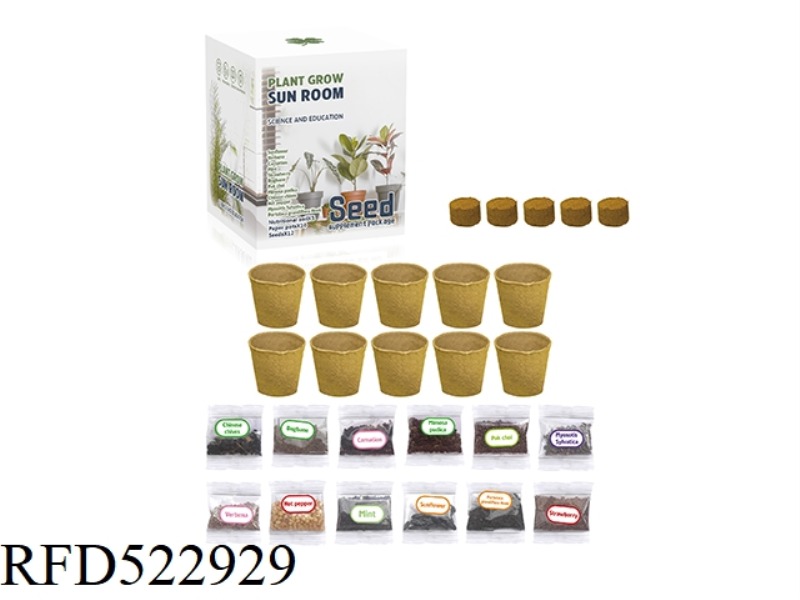 CHILDREN PLANT SUNROOMS