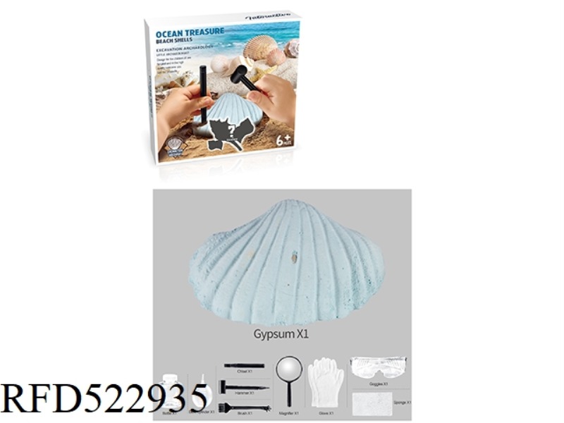 ARCHAEOLOGICAL MARINE SHELL SET