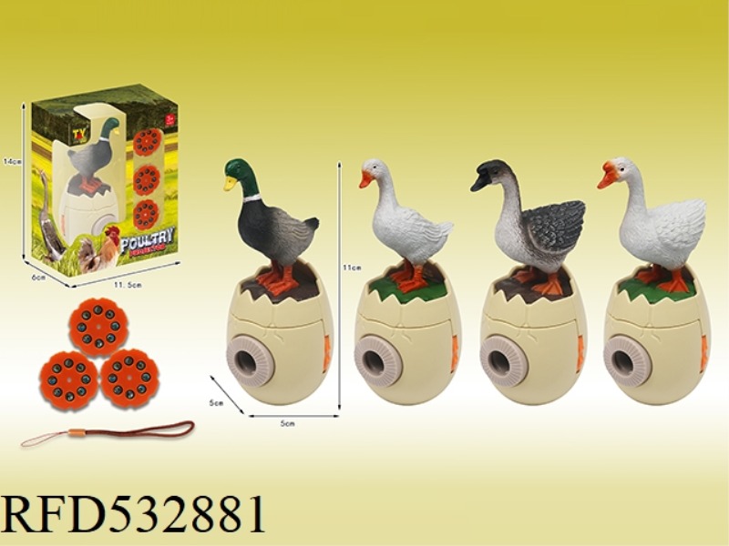 INTERESTING POULTRY PROJECTION SERIES