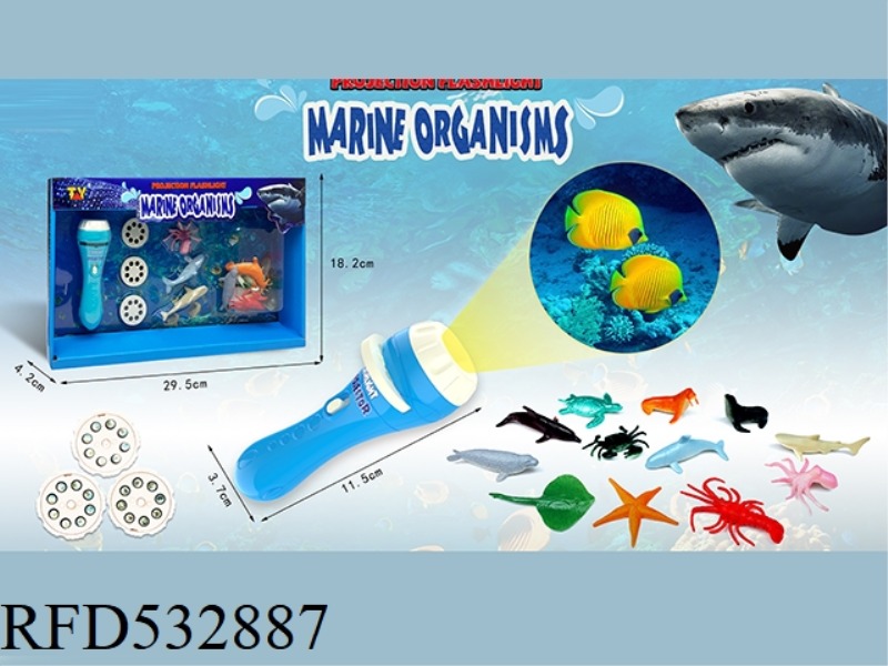 PROJECT AN OCEAN FLASHLIGHT