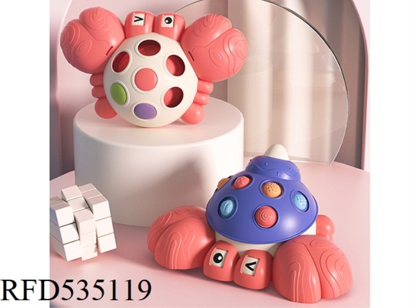 FUN HERMIT CRAB