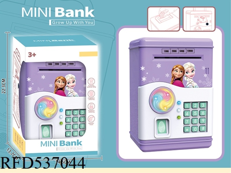 ICE AND SNOW PIGGY BANK