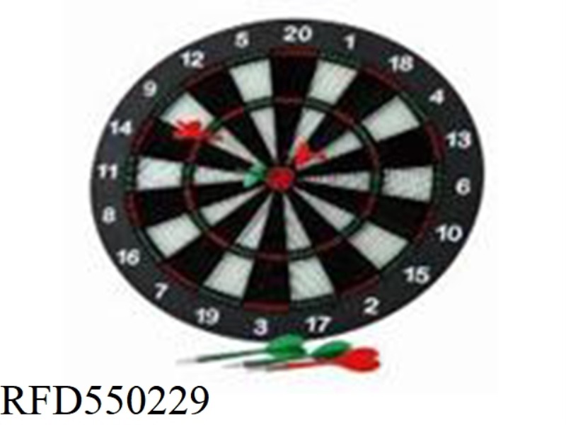 ENGLISH VERSION SAFETY DART CASE
