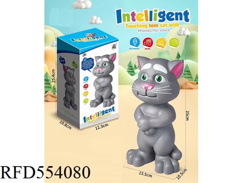 TOM CAT ENGLISH IC