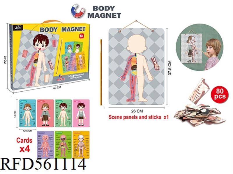 MAGNETIC BODY SCIENCE KIT