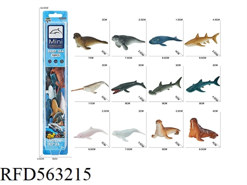 SOLID OCEAN SET (12PCS)