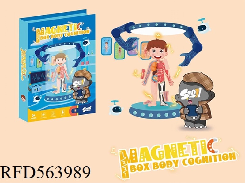 MAGNETIC JIGSAW BADYCOGNITION OF HUMAN BODY