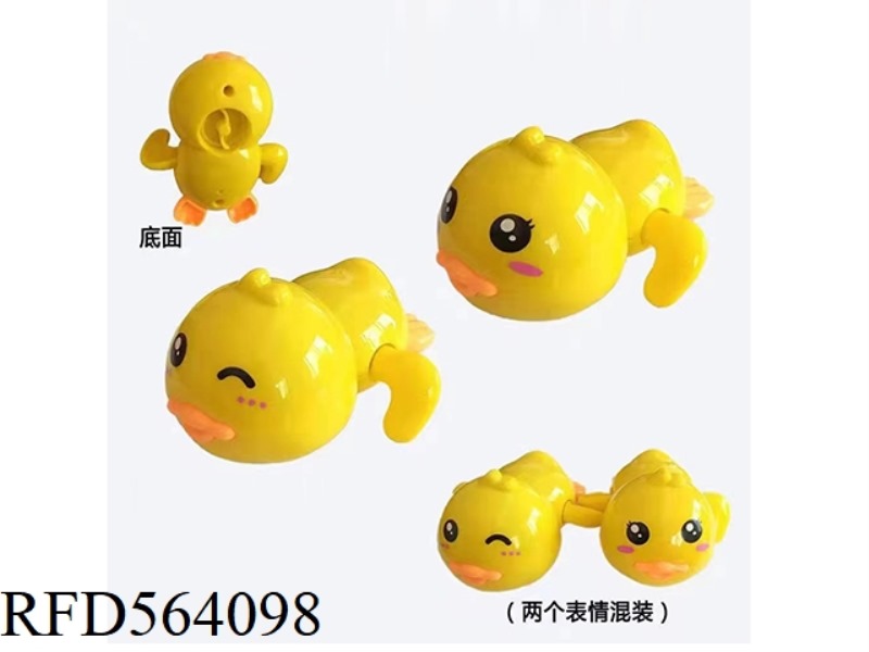 SWIMMING DUCK
