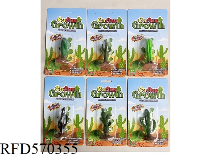 EXPANDED CACTUS (1 MEDIUM PACK OF 6)