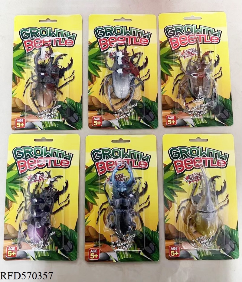 EXPANSION BEETLE (PACK OF 6)