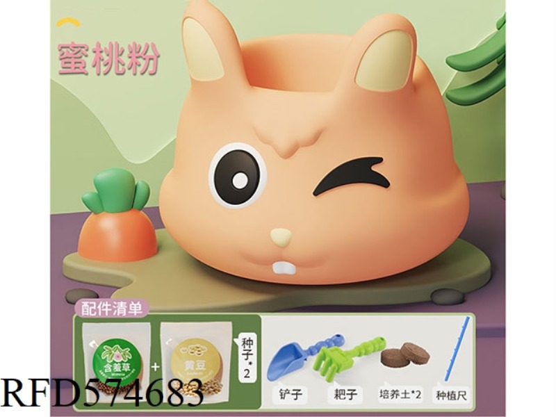 SCIENCE AND EDUCATION STEAM RABBIT FLOWER POT