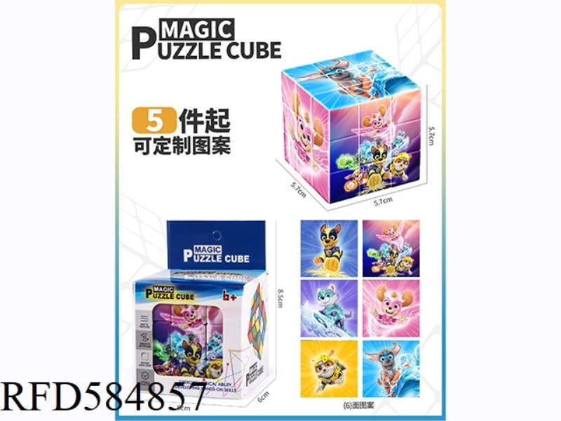 5.7CM WANG WANG TEAM THIRD-ORDER RUBIK'S CUBE (UV PRINTING)