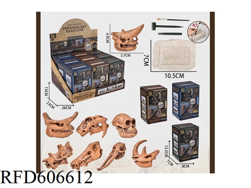 LUCKY BLIND BOX OF ARCHEOLOGICAL FOSSIL GIANT SKULL (9 PIECES)