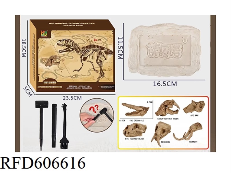 SIMULATED ARCHAEOLOGICAL EXCAVATION OF LARGE DINOSAUR GIANT SKULL