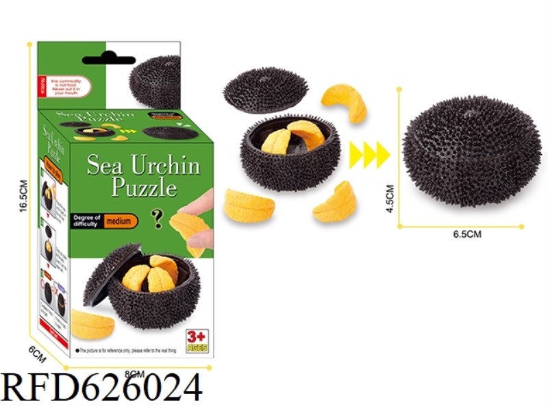 IQ PUZZLE SEA URCHIN 3D PUZZLE