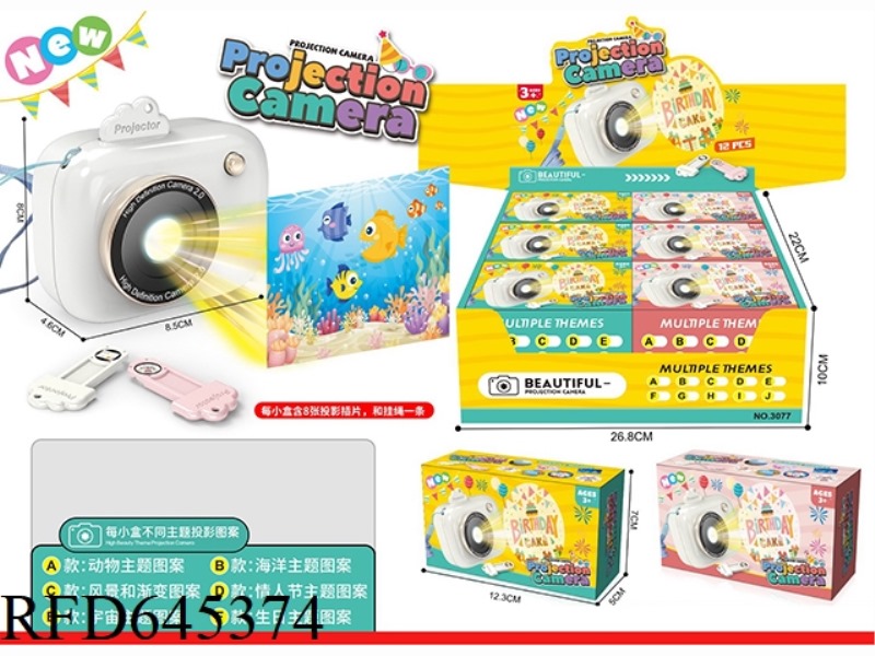 PROJECTION CAMERA