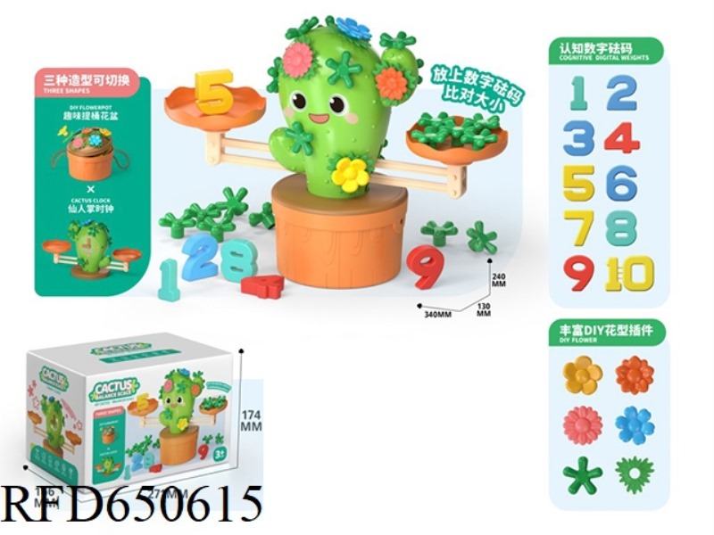 BABULA CACTUS BALANCE