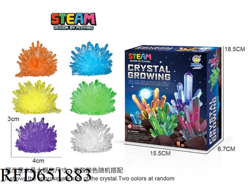 DIY CRYSTAL SCIENCE EXPERIMENT (SMALL CRYSTAL SEED)