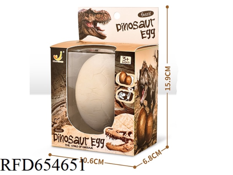 ARCHAEOLOGICAL EXCAVATION OF LARGE DINOSAUR EGG FOSSILS
