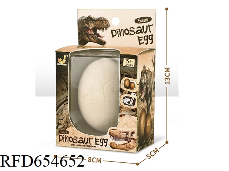 ARCHAEOLOGICAL EXCAVATION OF SMALL DINOSAUR EGG FOSSILS