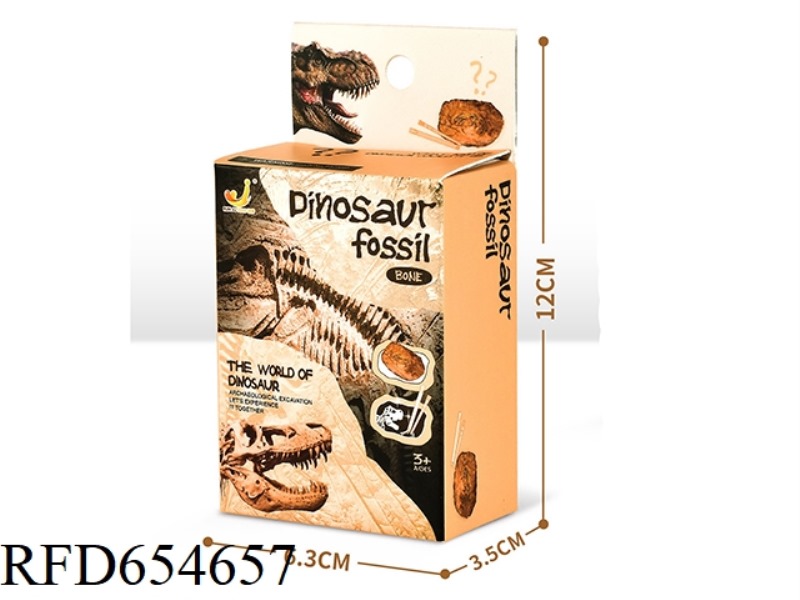 ARCHAEOLOGICAL EXCAVATION OF SMALL DINOSAUR FOSSILS