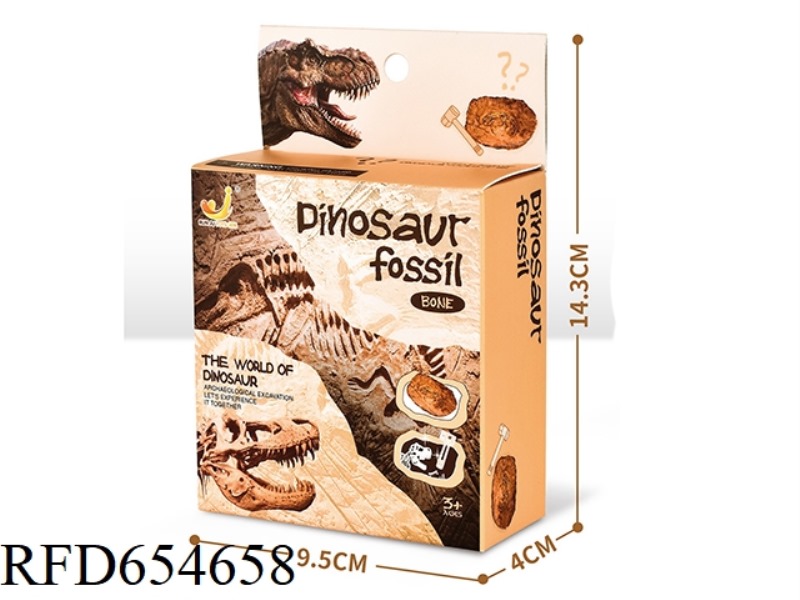 ARCHAEOLOGICAL EXCAVATION OF LARGE DINOSAUR FOSSILS