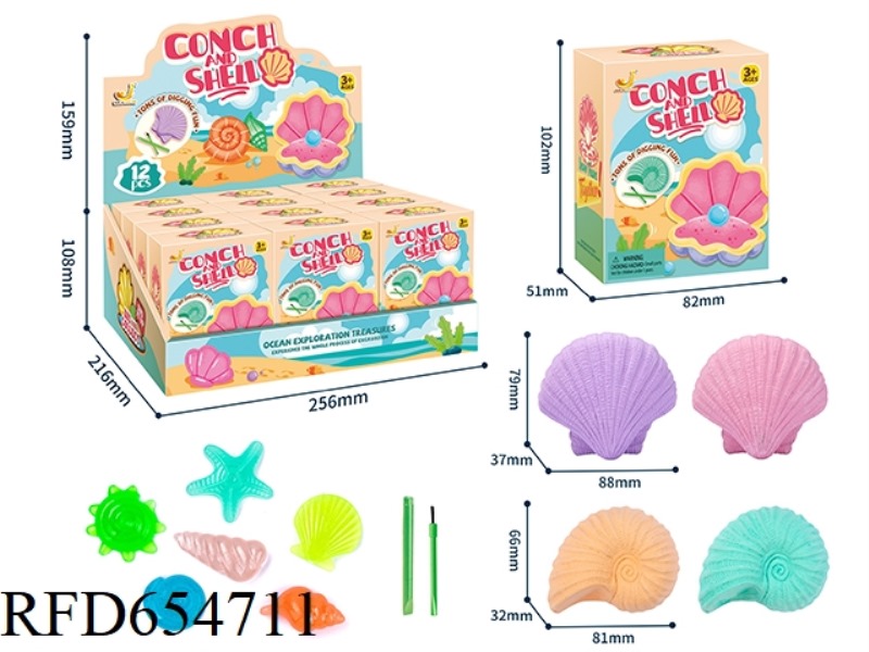 ARCHAEOLOGICAL EXCAVATION LUMINOUS SHELL CONCH DISPLAY BOX